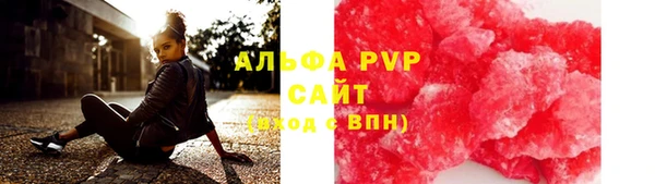 СК Алексин