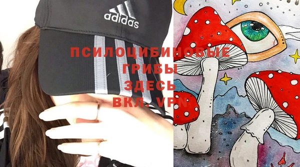 СК Алексин