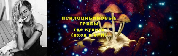 СК Алексин