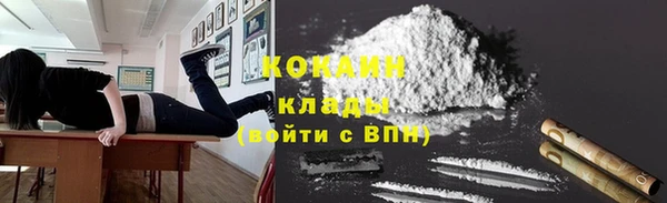 СК Алексин