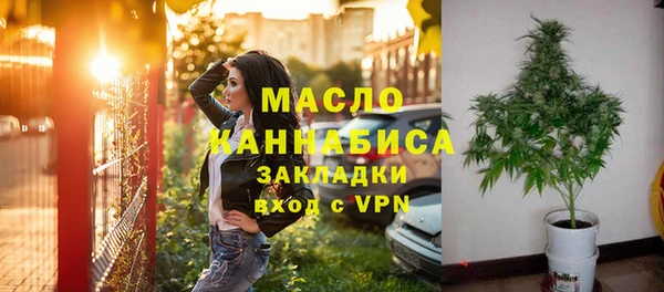 СК Алексин
