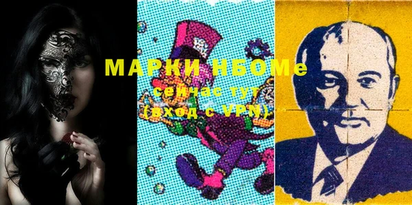 СК Алексин