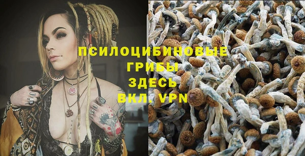 дживик Алексеевка