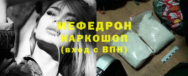 СК Алексин