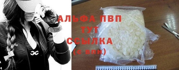 СК Алексин