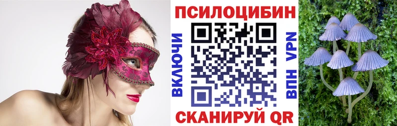 где продают наркотики Буй Галлюциногенные грибы Cubensis